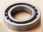 Bock compressor bearings